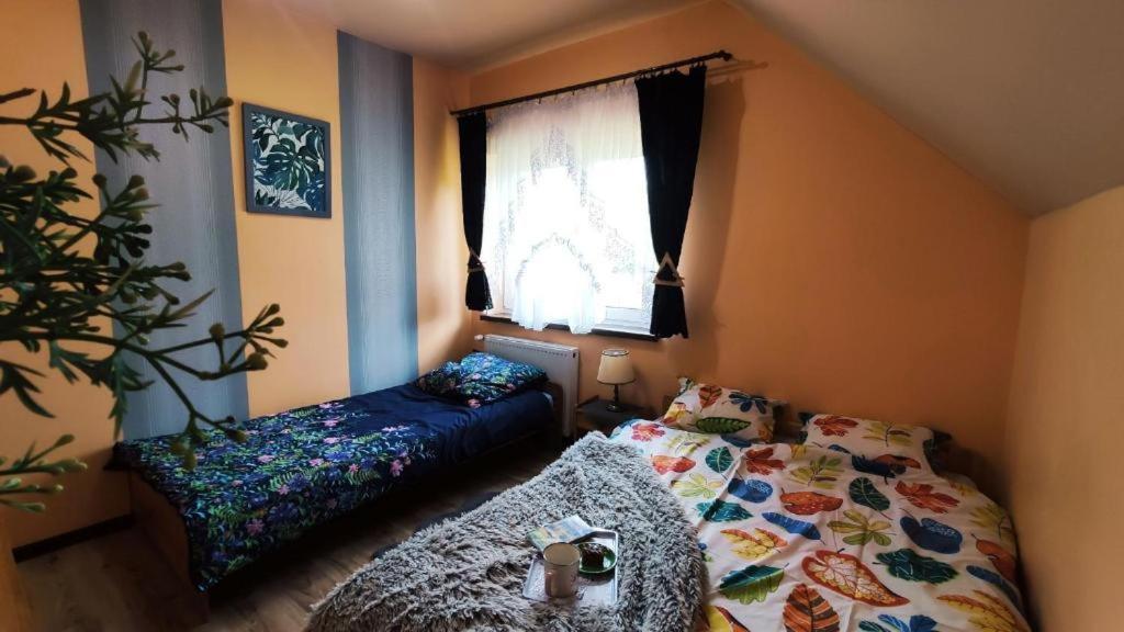 Apartamenty Pilsko Корбелов Екстериор снимка
